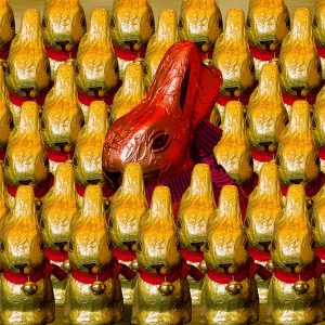 Chocolate Bunnies