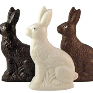 Chocolate Bunny Trio